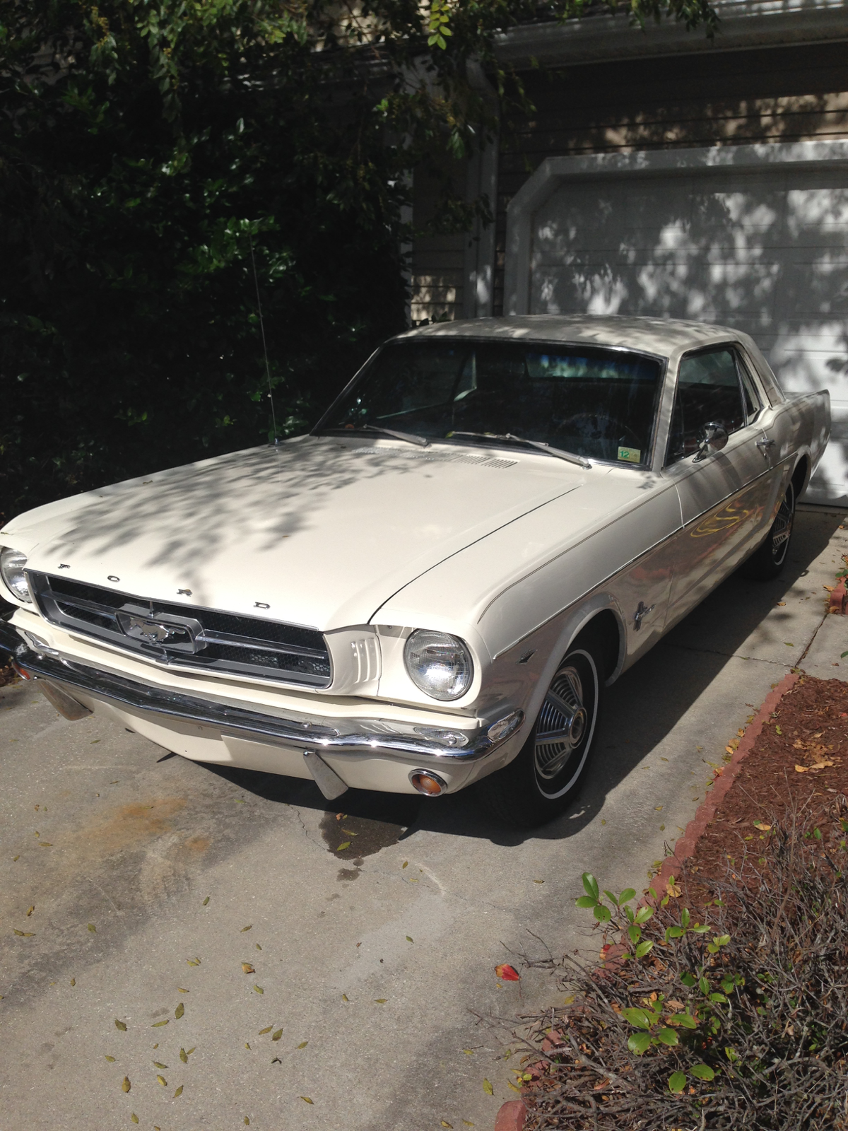 1964 Ford Mustang Standard