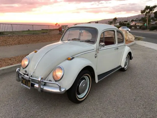 1966 Volkswagen Beetle - Classic