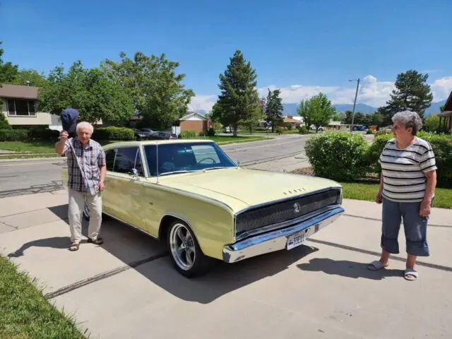 1966 Dodge Charger original factory trim