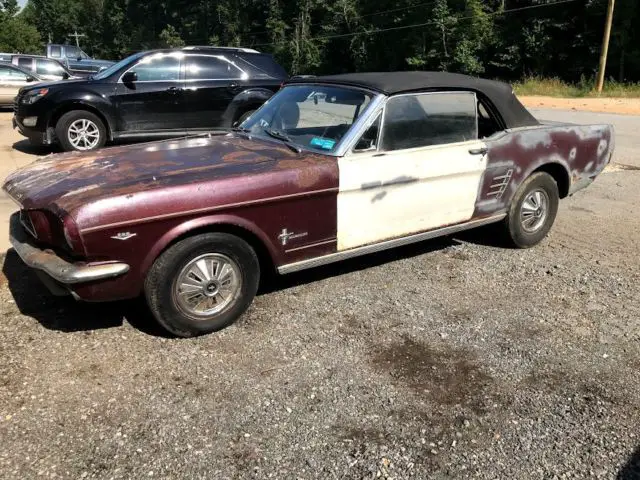 1966 Ford Mustang --