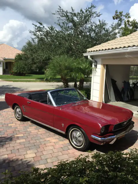 1966 Ford Mustang gt350