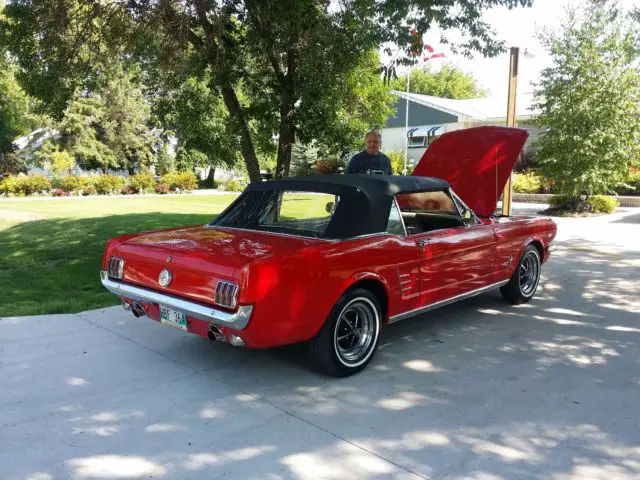 1966 Ford Mustang Coupe