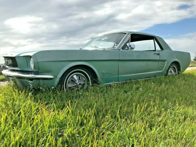 1966 Ford Mustang