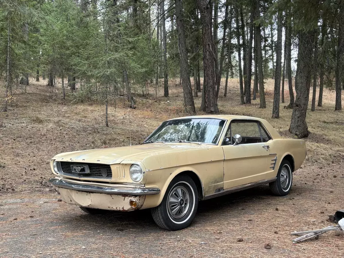 1966 Ford Mustang