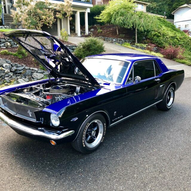 1966 Ford Mustang Black + Blue 2 Tone