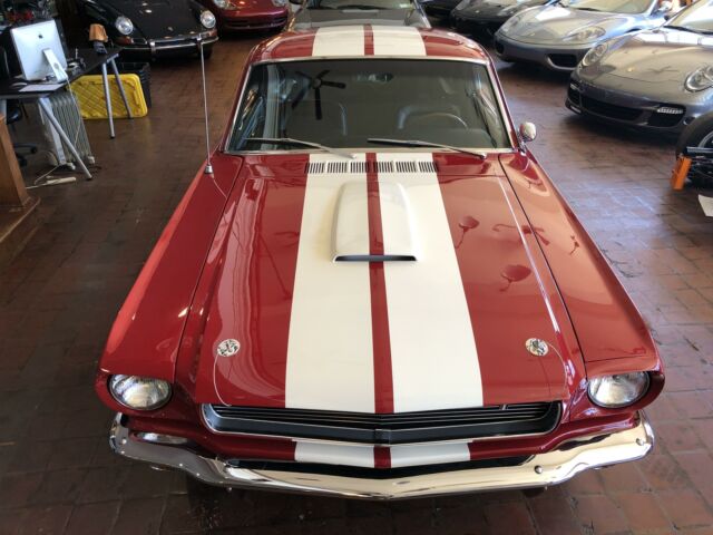 1966 Ford GT350 FASTBACK --