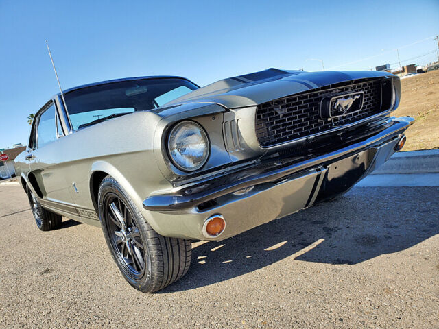 1966 Ford Mustang Shelby GT350 Tribute
