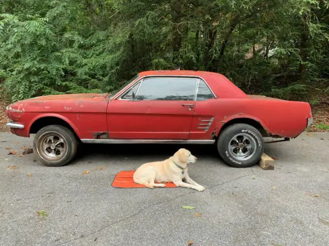 1966 Ford Mustang