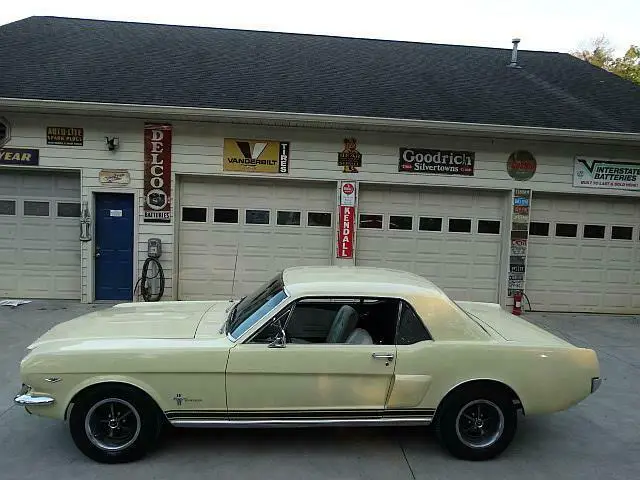 1966 Ford Mustang --