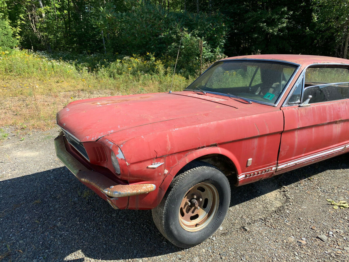 1966 Ford Mustang