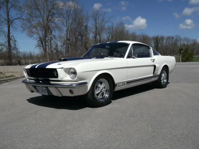 1966 Ford Mustang 1965 CARRY OVER