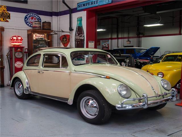1966 Volkswagen Beetle-New Beetle