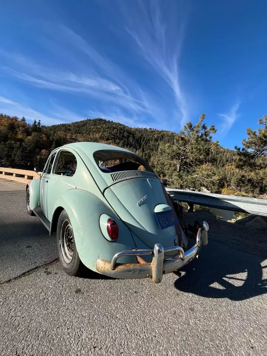 1966 Volkswagen Beetle