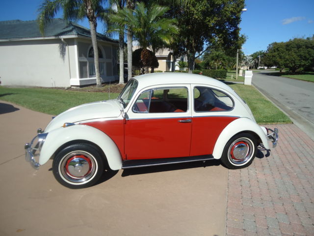 1966 Volkswagen Beetle - Classic RED