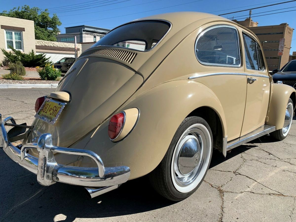 1966 Volkswagen Beetle - Classic