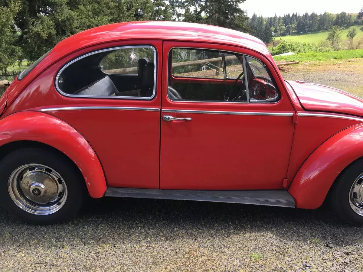 1966 Volkswagen Beetle chrome