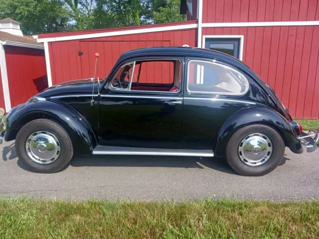 1966 Volkswagen Beetle