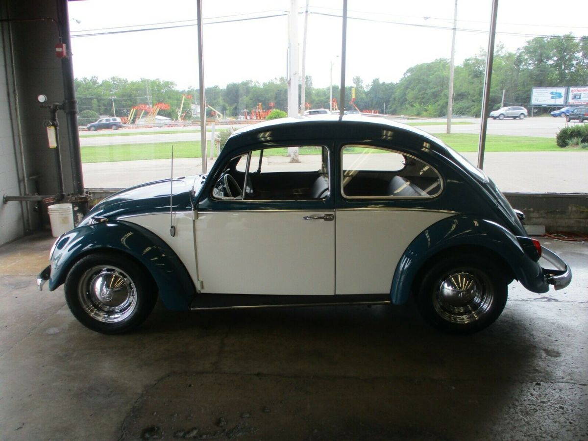 1966 Volkswagen Beetle - Classic