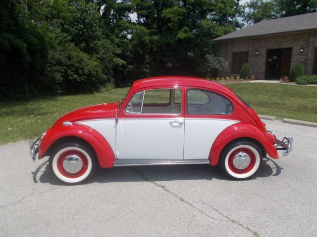 1966 Volkswagen Beetle - Classic RED/WHITE