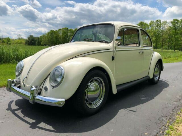 1966 Volkswagen Beetle - Classic Deluxe