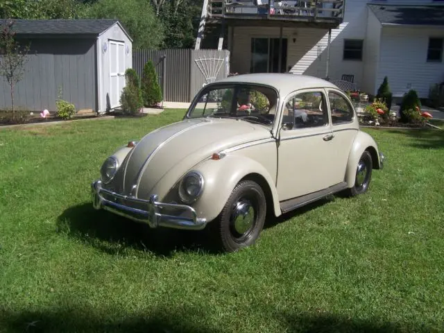 1966 Volkswagen Beetle - Classic