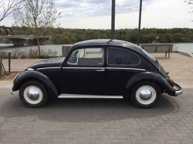 1966 Volkswagen Beetle - Classic