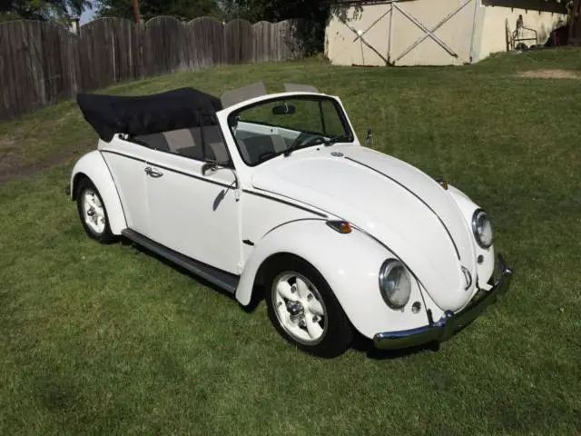 1966 Volkswagen Beetle - Classic