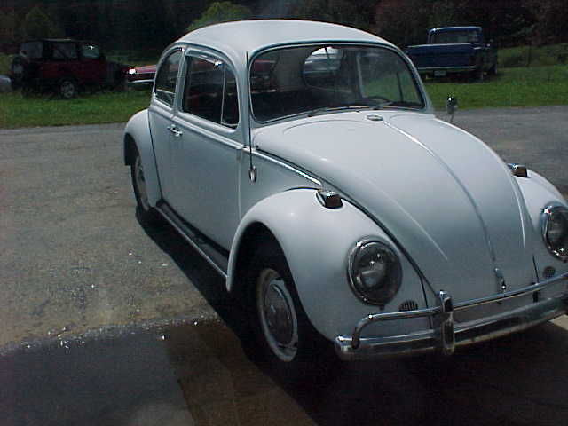 1966 Volkswagen Beetle - Classic