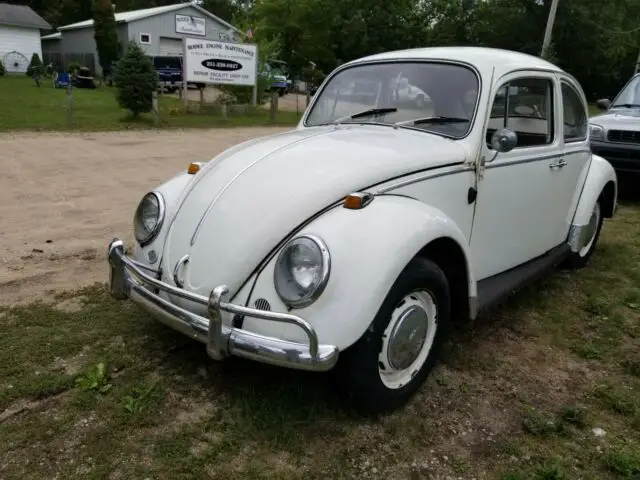 1966 Volkswagen Beetle - Classic