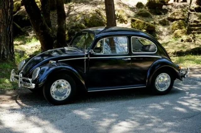 1966 Volkswagen Beetle - Classic