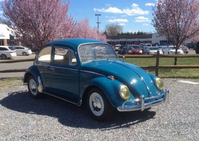 1966 Volkswagen Beetle - Classic