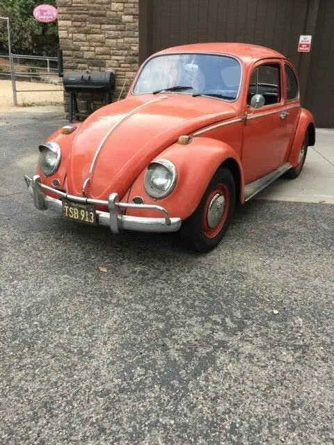 1966 Volkswagen Beetle - Classic