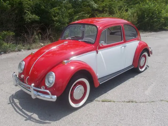 1966 Volkswagen Beetle - Classic RED / WHITE