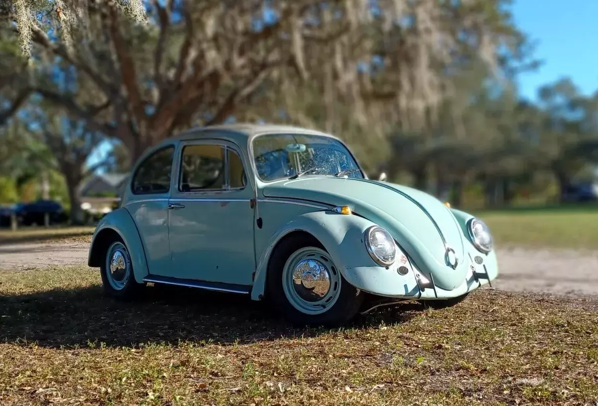 1966 Volkswagen Beetle - Classic