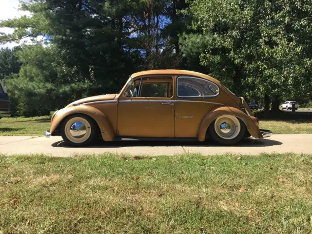 1966 Volkswagen Beetle - Classic beetle