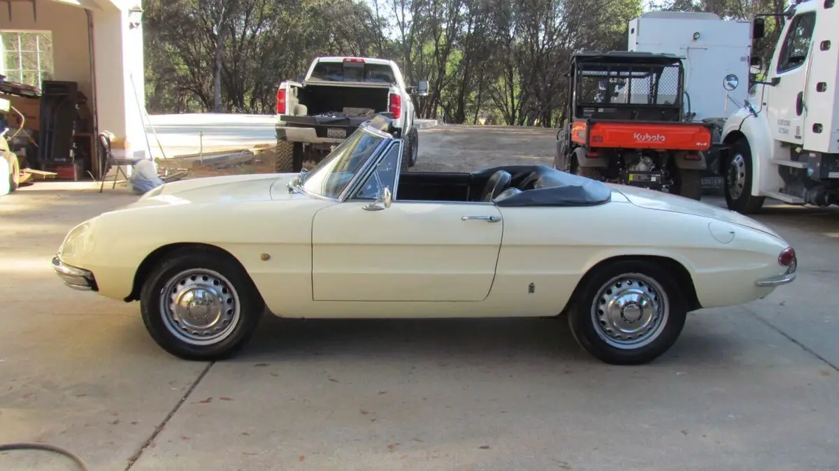 1967 Alfa Romeo Spider Convertible