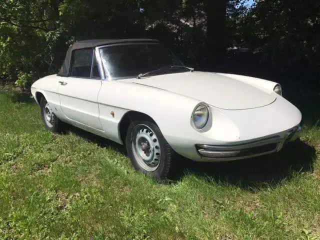 1967 Alfa Romeo Spider Duetto Spider