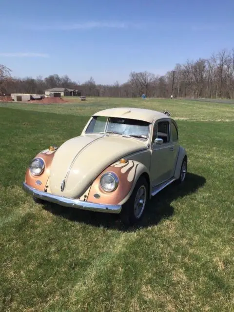 1967 Volkswagen Beetle - Classic