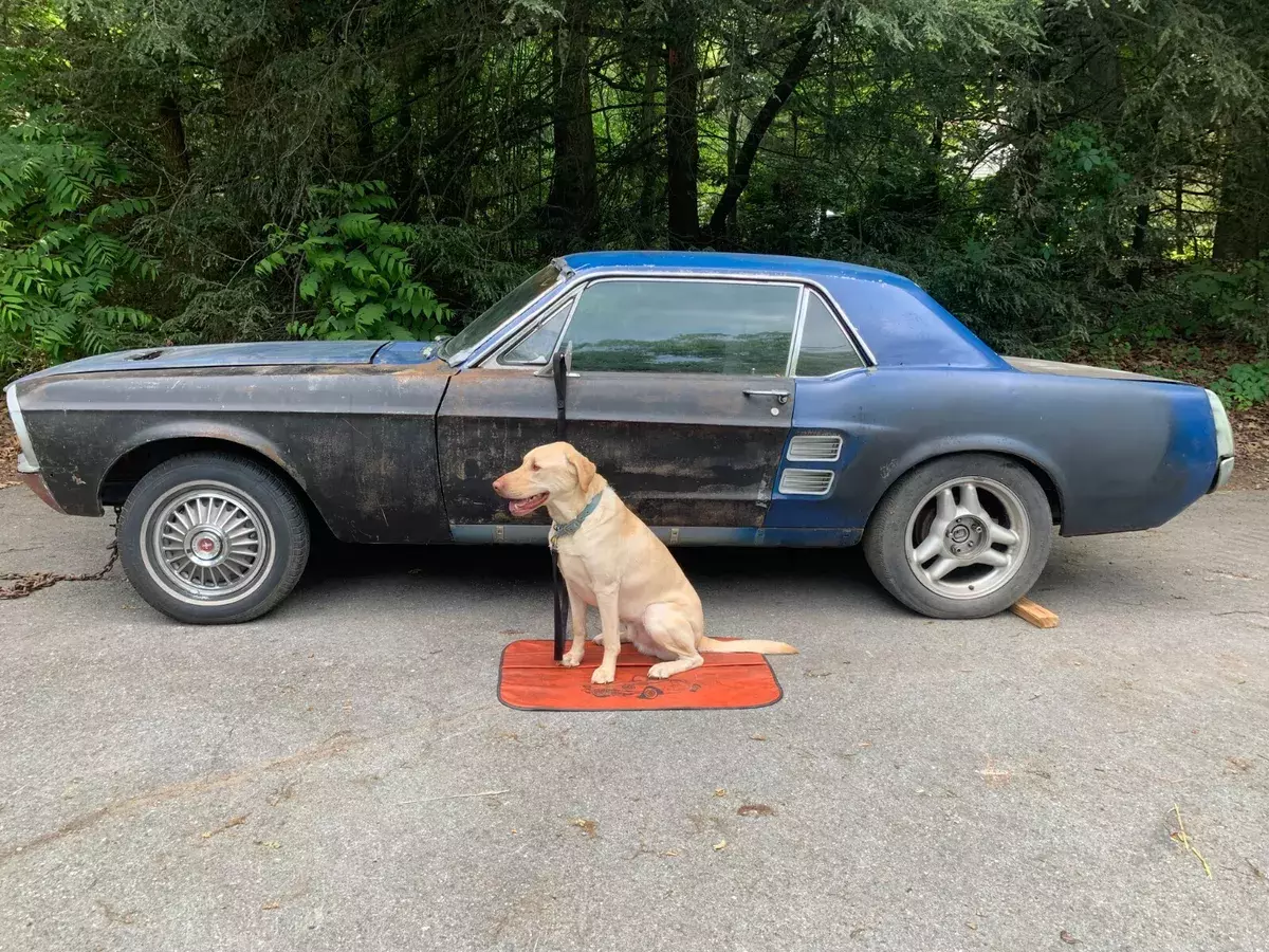 1967 Ford Mustang