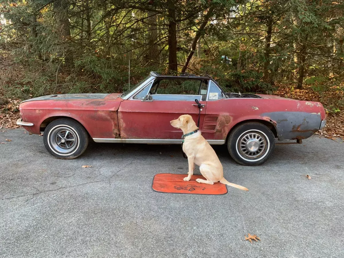 1967 Ford Mustang convertible