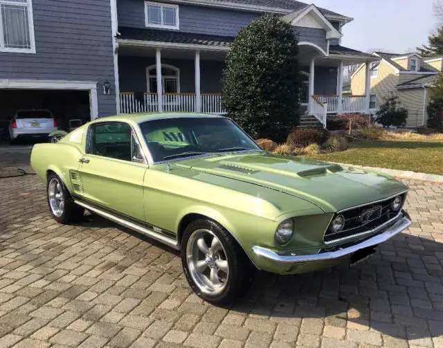 1967 Ford Mustang GTA