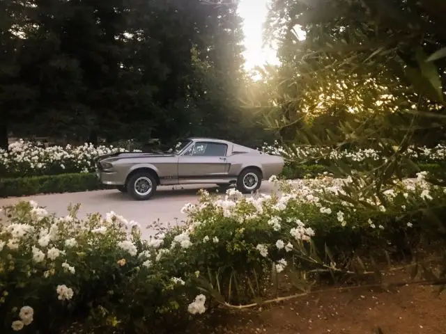 1967 Ford Mustang Eleanor