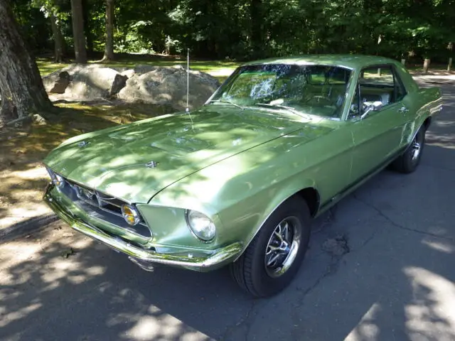 1967 Ford Mustang GT Deluxe Interior/Exterior