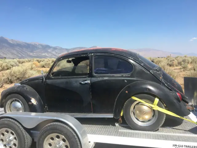 1967 Volkswagen Beetle - Classic