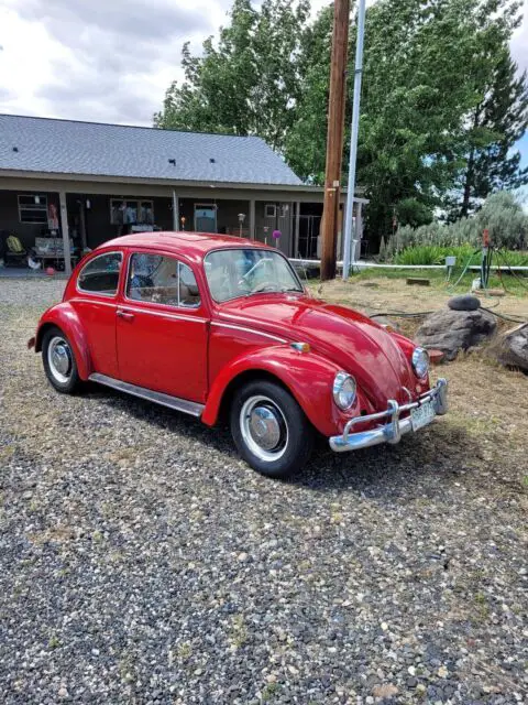 1967 Volkswagen Beetle (Pre-1980)