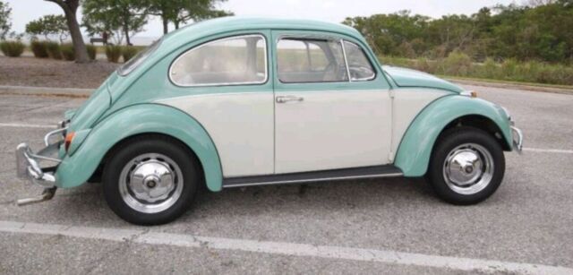 1967 Volkswagen Beetle vinyl
