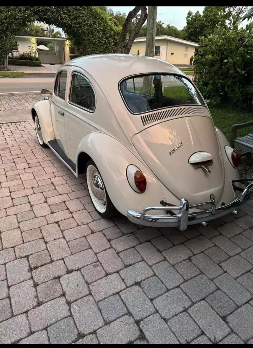 1967 Volkswagen Beetle