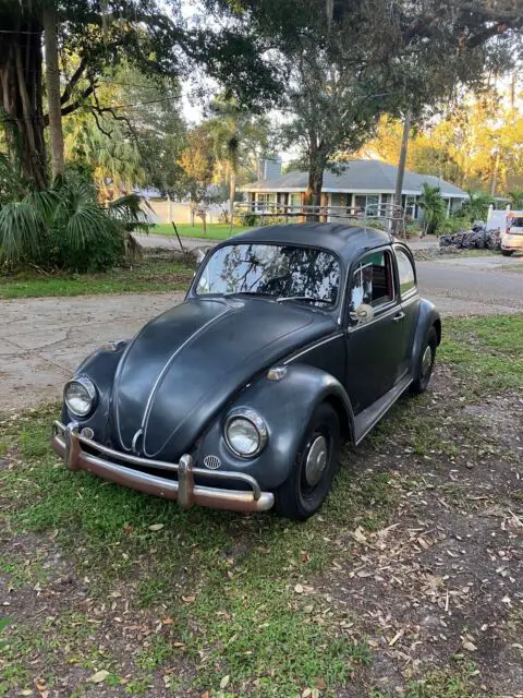 1967 Volkswagen Beetle (Pre-1980) classic