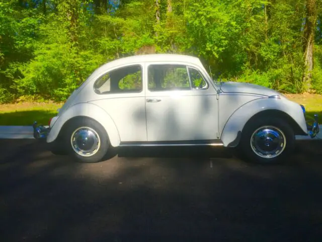 1967 Volkswagen Beetle - Classic