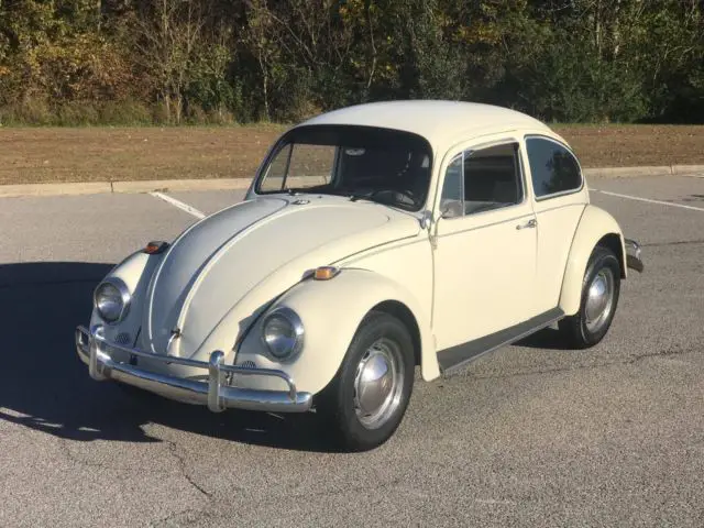 1967 Volkswagen Beetle - Classic